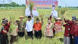 Wagub Fadhlullah Serahkan Alsintan ke Tiga Kabupaten, Dorong Peningkatan Produksi Pertanian