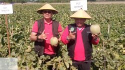 pdip-jatim-eksekutif-240922-marhaen-djumadi-2.jpg pdip-jatim-eksekutif-240922-marhaen-djumadi-2.jpg