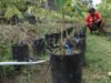 VC FUNAAB berusaha mengintegrasikan petani pedesaan dalam inisiatif pertanian digital