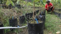 VC FUNAAB berusaha mengintegrasikan petani pedesaan dalam inisiatif pertanian digital