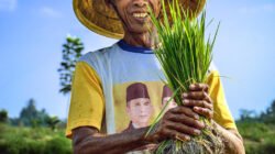 Petani Enam Desa di Tanahlaut Serentak Tanam Bawang Merah,Ini Permasalahan Pengembangannya