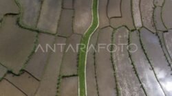 Dukung Swasembada Gula,Bupati Kediri Berjanji Kawal Kebutuhan Pupuk Untuk Petani Tebu