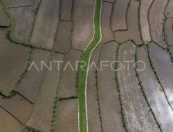 Dukung Swasembada Gula,Bupati Kediri Berjanji Kawal Kebutuhan Pupuk Untuk Petani Tebu