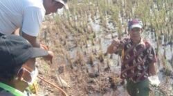 Jaga Keamanan Pangan, Dispertan Garut Lawan Hama Tanaman