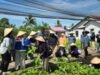 Pertamina Bawa Harapan: Studi Banding Pertanian Organik di Lahan Gambut Kalbar