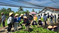 Pertamina Bawa Harapan: Studi Banding Pertanian Organik di Lahan Gambut Kalbar