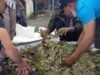 Inovasi Mahasiswa Unsoed, Ubah Sampah Jadi Pupuk Organik Bersama Petani Desa Serang Purbalingga