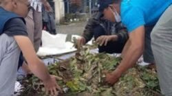 Inovasi Mahasiswa Unsoed, Ubah Sampah Jadi Pupuk Organik Bersama Petani Desa Serang Purbalingga