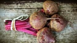Apa Itu Bit dan Manfaatnya untuk Kesehatan? Bisa Turunkan Tekanan Darah Tinggi