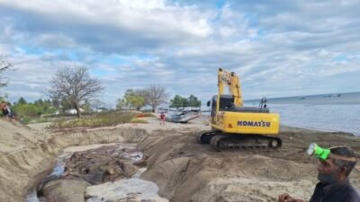 Proses Evakuasi dan Penguburan Bangkai Ikan Paus Kerdil di Kabupaten TTU