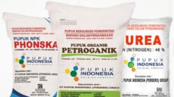 Pupuk Kujang Siapkan Stok untuk Petani Saat Musim Kemarau Agustus-Oktober