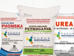 Pupuk Kujang Siapkan Stok untuk Petani Saat Musim Kemarau Agustus-Oktober