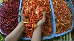 Update Harga Pangan Jabar 9 Agustus 2025: Rawit Merah dan Cabai Keriting Alami Penurunan Harga