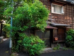 Rahasia Memilih Pohon Depan Rumah yang Indah dan Sehat