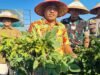Edamame Jadi Primadona Baru Petani di Situbondo, Kini Bersiap Tembus Pasar Ekspor