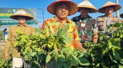 Edamame Jadi Primadona Baru Petani di Situbondo, Kini Bersiap Tembus Pasar Ekspor