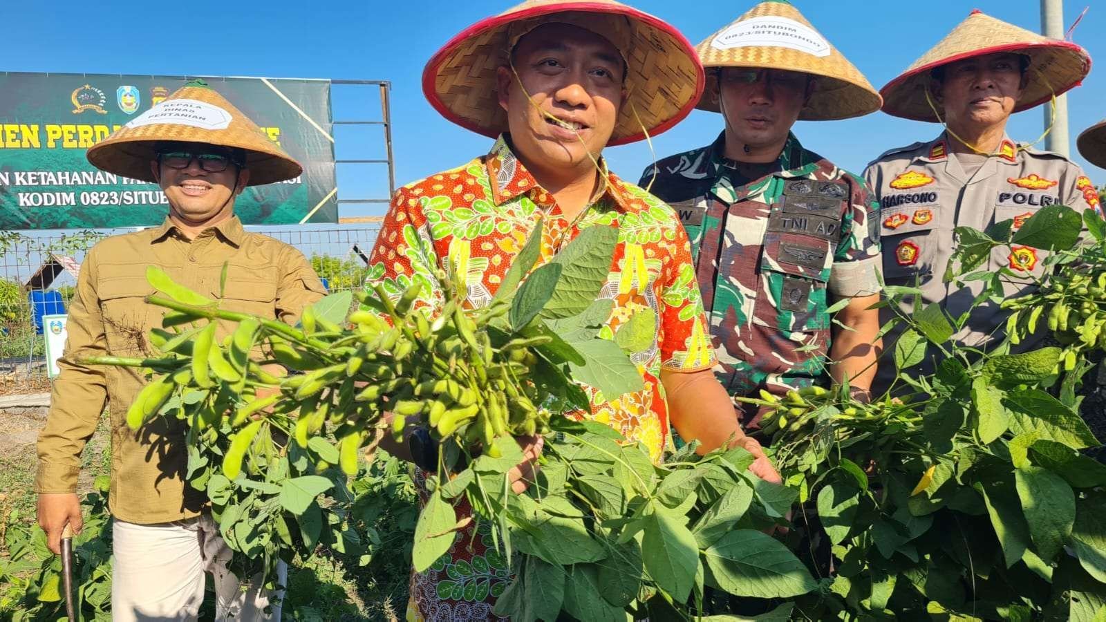 Bupati Situbondo, Yusuf Rio Wahyu Prayogo, didampingi Dandim 0823, Letkol Inf. Tri Wiratno dan Kepala Dispertangan, Dadang Aries Bintoro saat panen edamame di Desa Gelung, Kecamatan Panarukan, Kamis (2/10/2025) (Foto RRI).