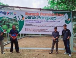 Polipangkep Modernisasi Pertanian Ma’rang Lewat Traktor Nirawak dan Pelestarian Jeruk Pangkep