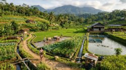 Panduan Sistem Pertanian Terpadu: Konsep & Penerapan